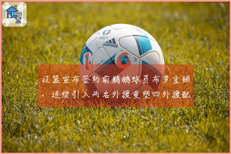 辽篮宣布签约前鹈鹕球员布罗金顿，连续引入两名外援重塑四外援配置